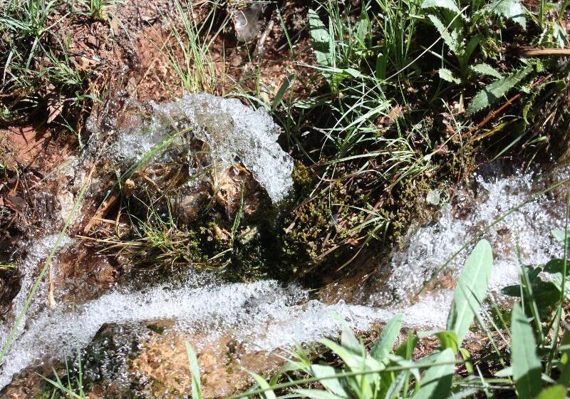 Apartamentos Rurales Campillo