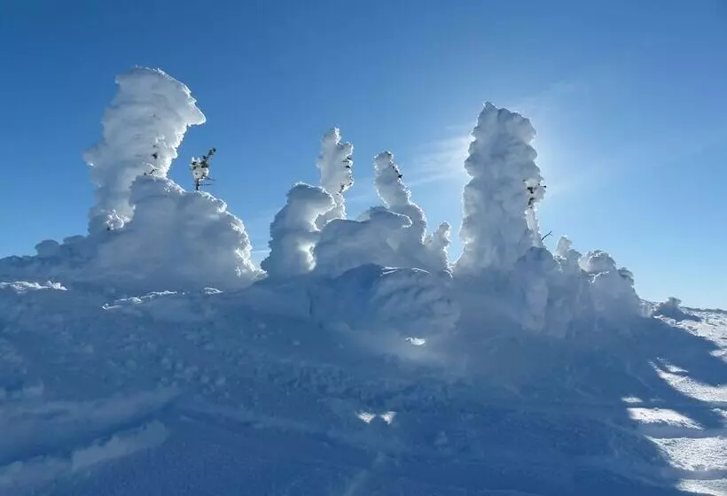 ホテル Chateau Big White