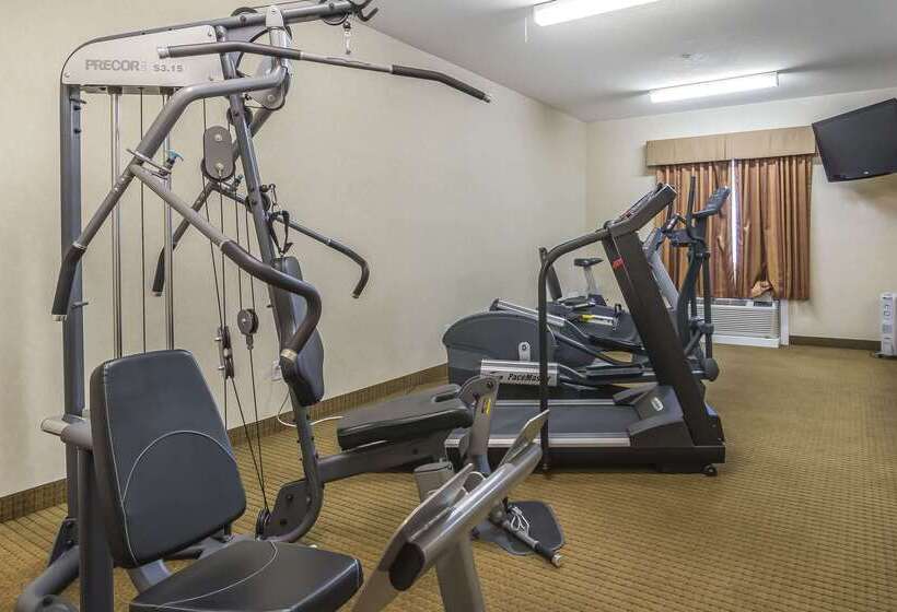 Отель Comfort Inn & Suites