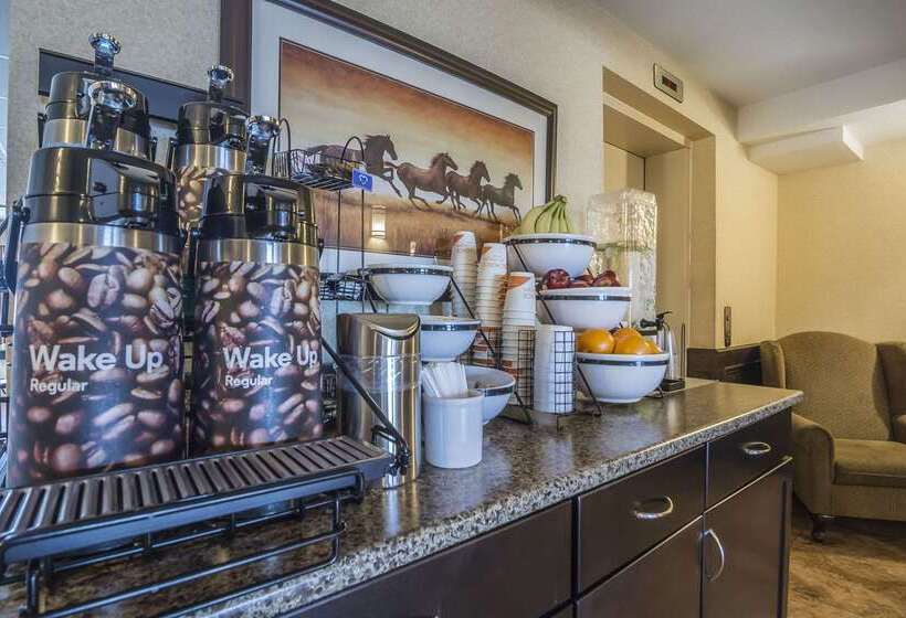 Отель Comfort Inn & Suites