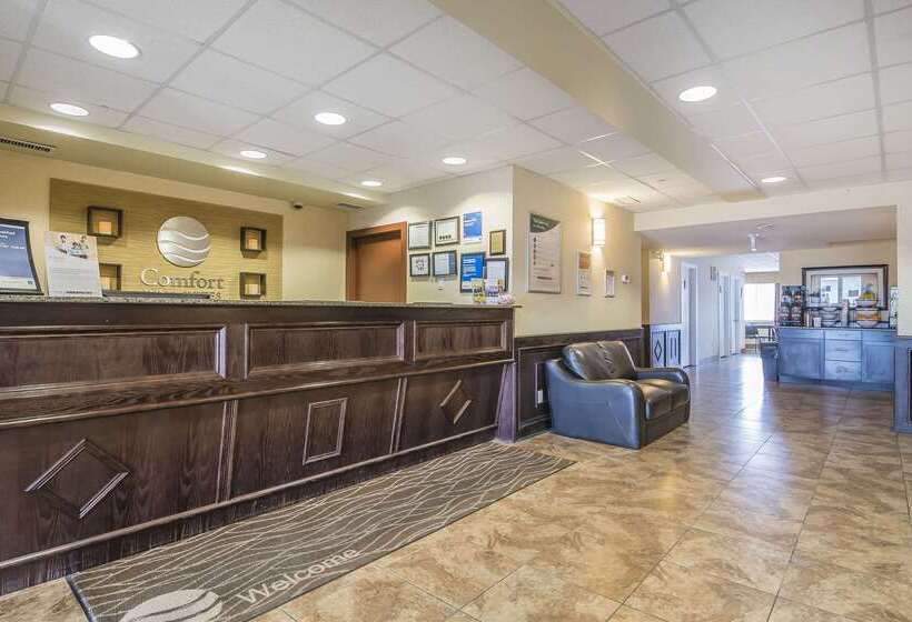 Отель Comfort Inn & Suites