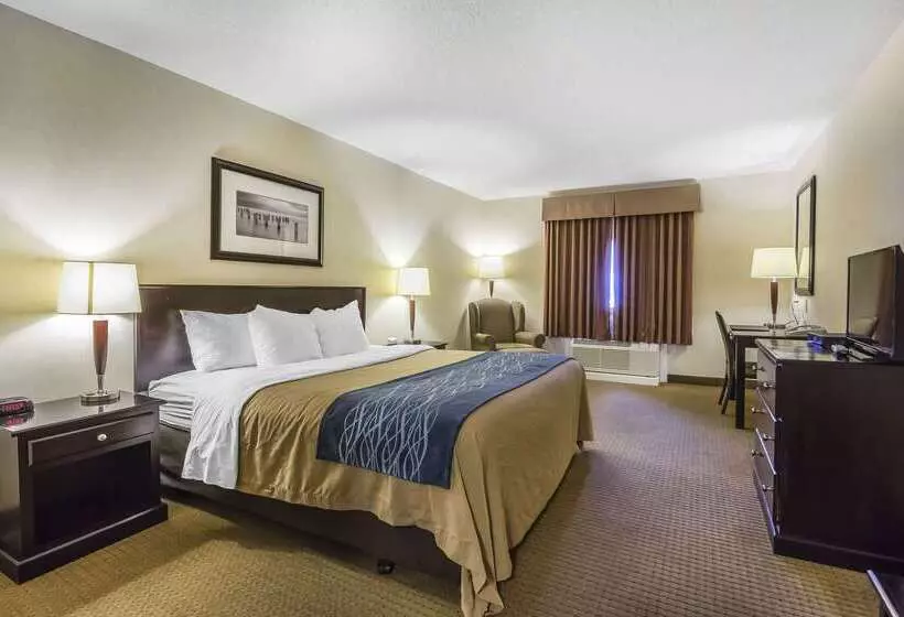 Отель Comfort Inn & Suites