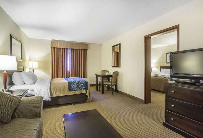 Отель Comfort Inn & Suites