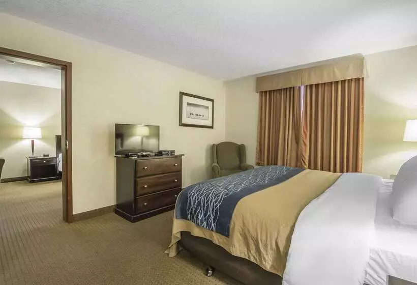 Отель Comfort Inn & Suites