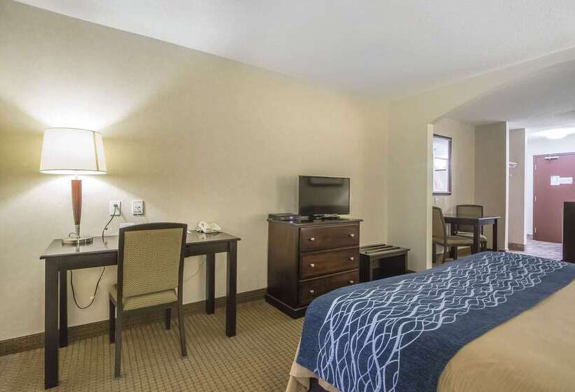 Отель Comfort Inn & Suites
