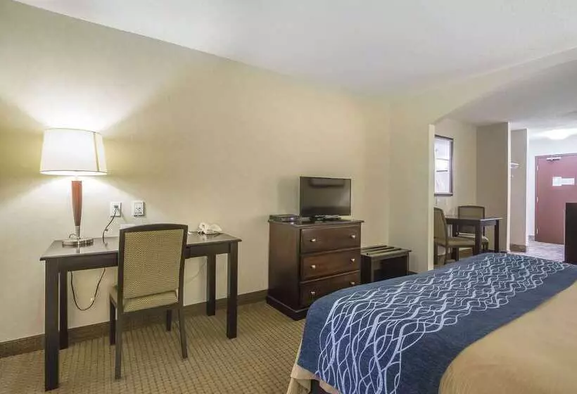 Отель Comfort Inn & Suites