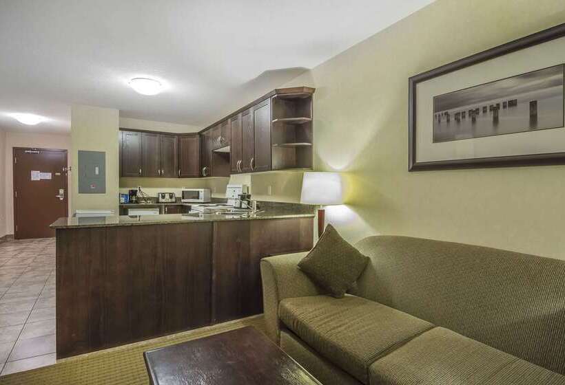 Отель Comfort Inn & Suites