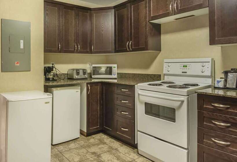 Отель Comfort Inn & Suites