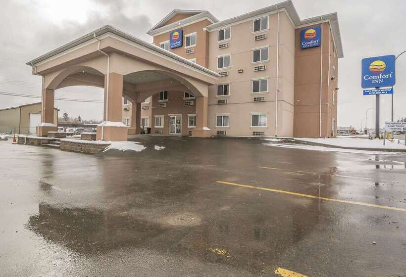 Отель Comfort Inn & Suites