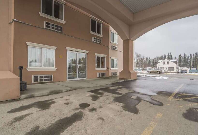 Отель Comfort Inn & Suites
