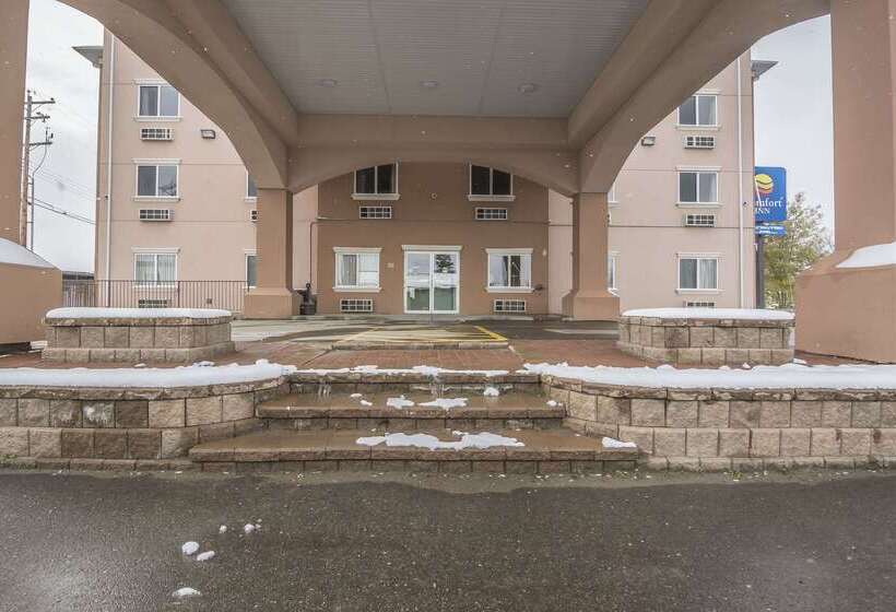 Отель Comfort Inn & Suites