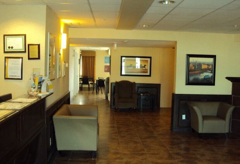 Отель Comfort Inn & Suites