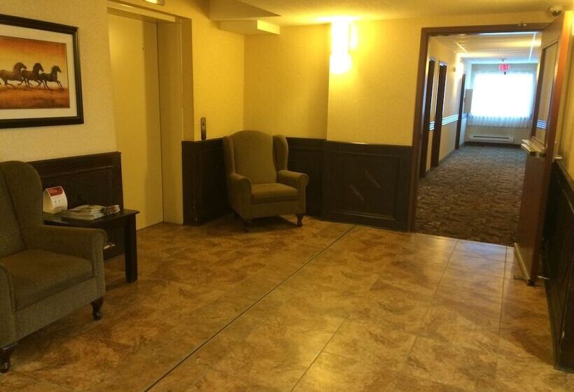 Отель Comfort Inn & Suites