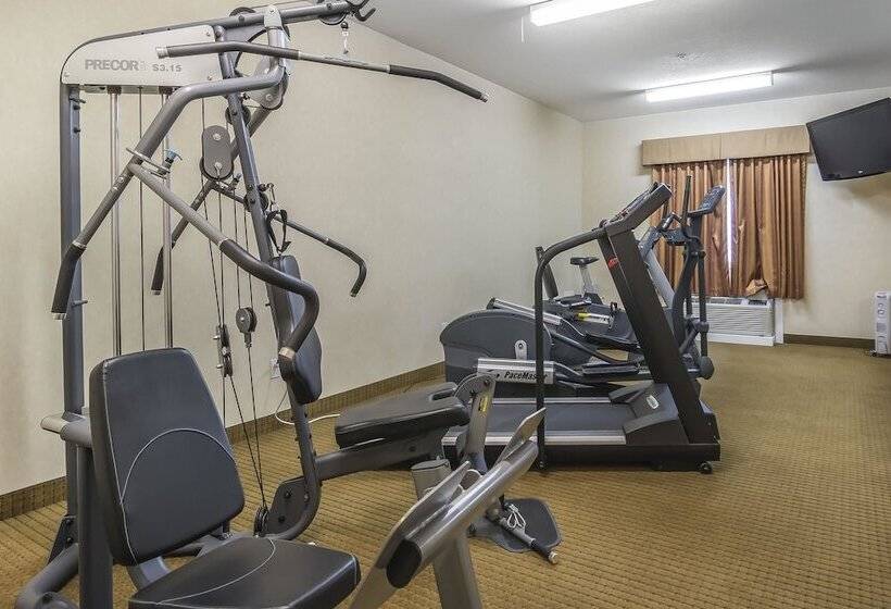 Отель Comfort Inn & Suites