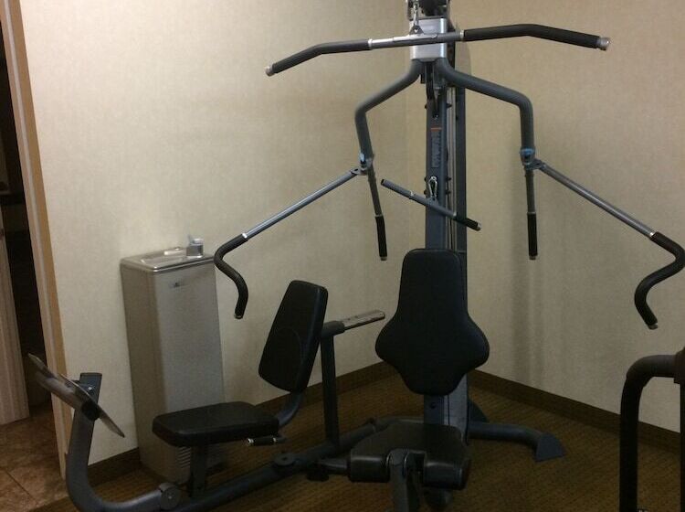 Отель Comfort Inn & Suites