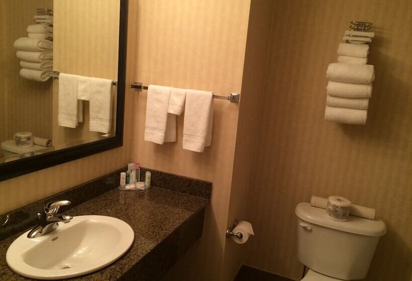 Отель Comfort Inn & Suites