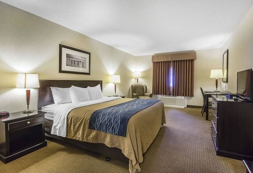 Отель Comfort Inn & Suites