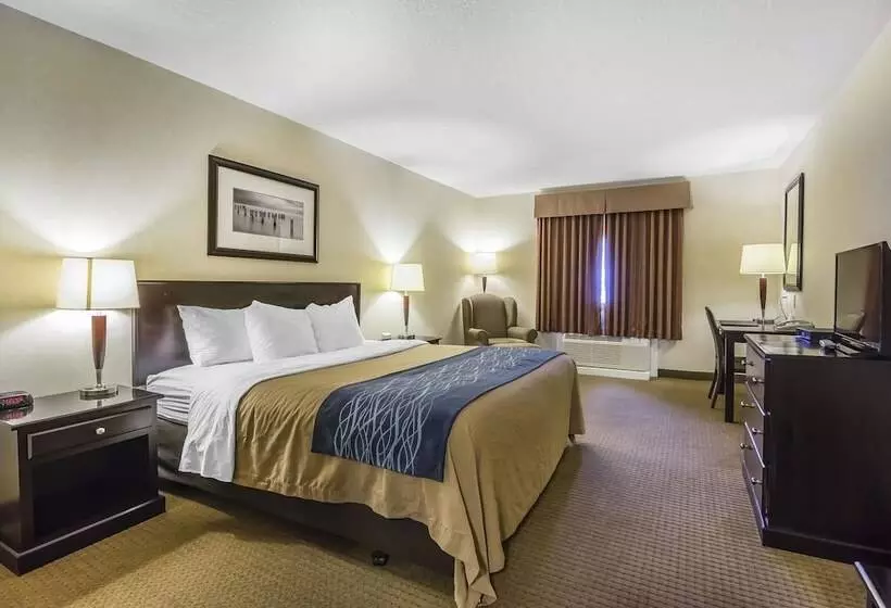 Отель Comfort Inn & Suites