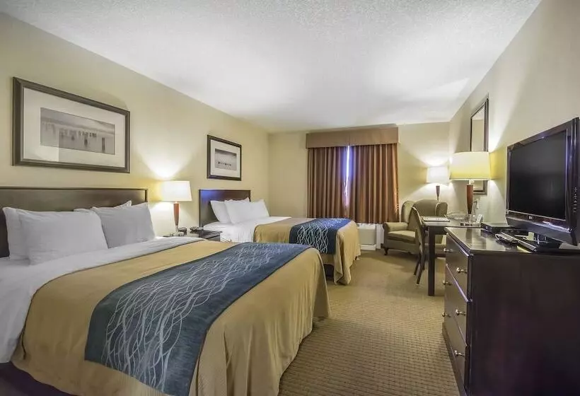 Отель Comfort Inn & Suites