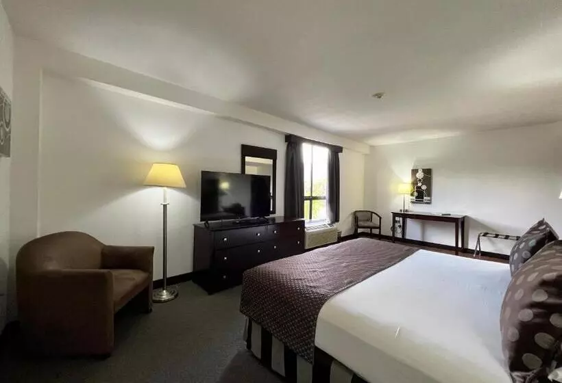 هتل Gh Guaparo Suites