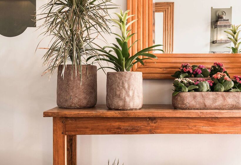 בית מלון כפרי Hacienda del Conde Meliá Collection Golf & Spa