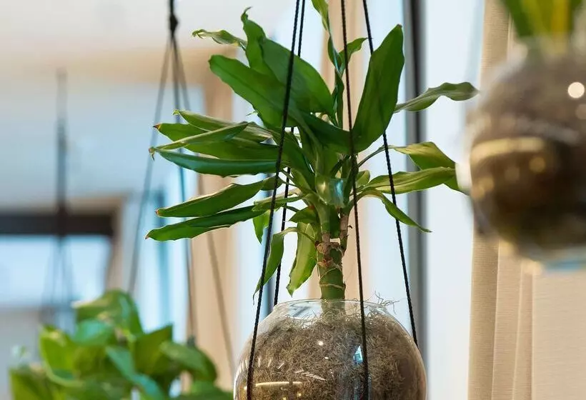 هتل Innside By Meliá Dresden