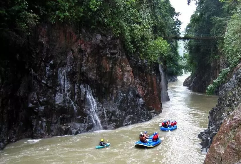 ホテル Wagelia Turrialba