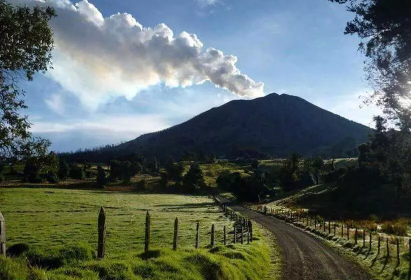 ホテル Wagelia Turrialba