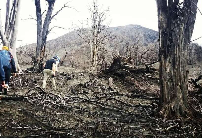 فندق Wagelia Turrialba