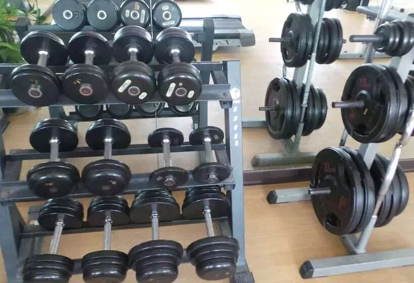 Xclusive  Apartments