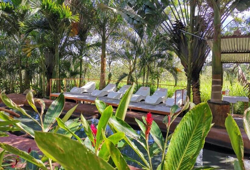 هتل Palmera Real Hot Springs