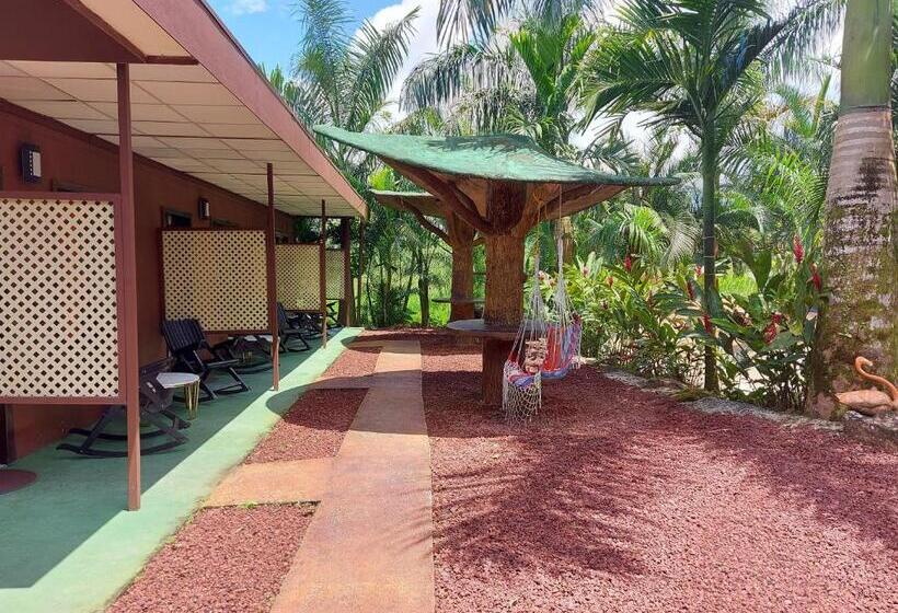 هتل Palmera Real Hot Springs