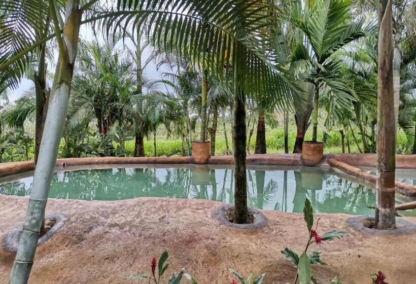 هتل Palmera Real Hot Springs