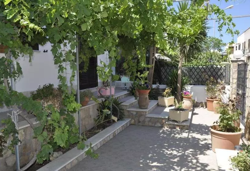 پانسیون El Nur Bed & Breakfast