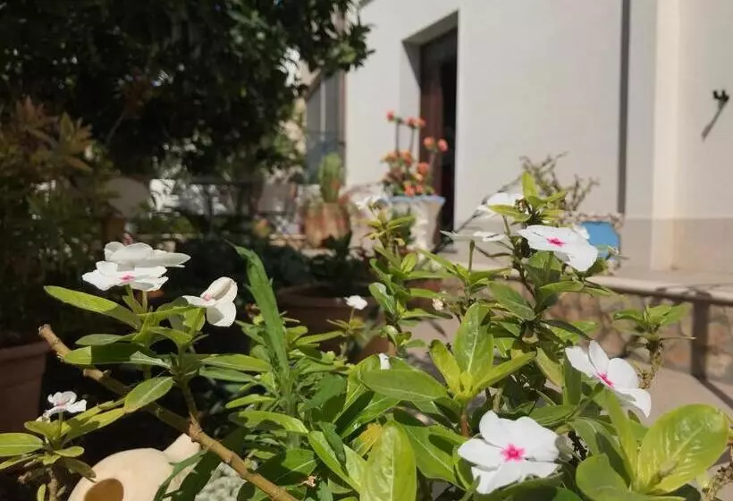 پانسیون El Nur Bed & Breakfast