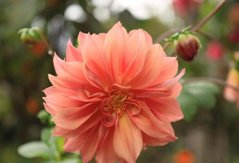 住宿加早餐  Finca Umnisa   Choachi