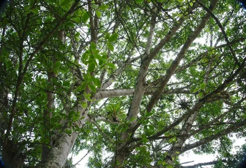 Aamiaismajoitus (B&B) Finca Umnisa   Choachi