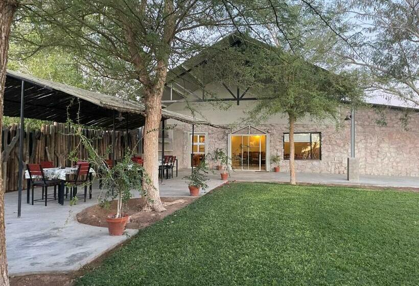 هتل Little Sossus Lodge