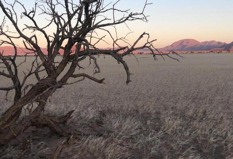 هتل Little Sossus Lodge