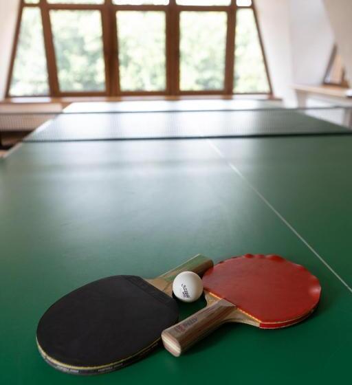 בית מלון כפרי Vitapark Stariy Dub