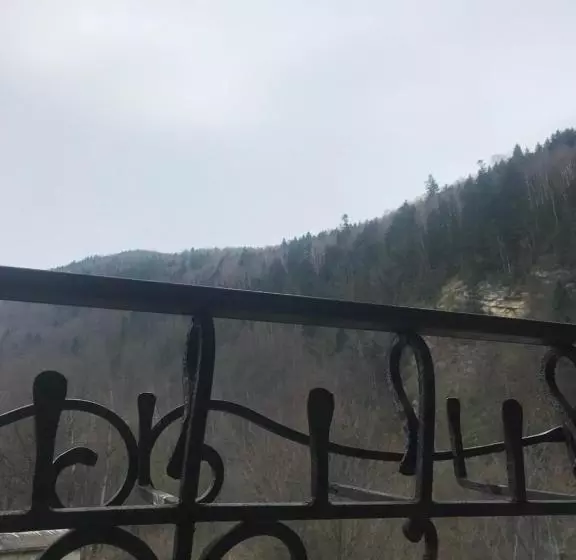 ペンション писанка плюс