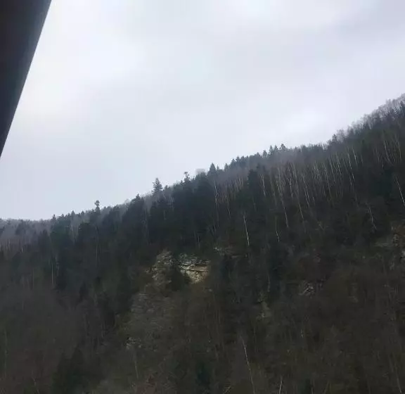 ペンション писанка плюс