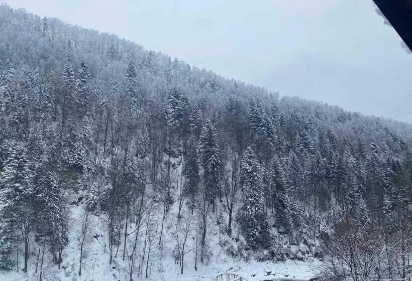 ペンション писанка плюс