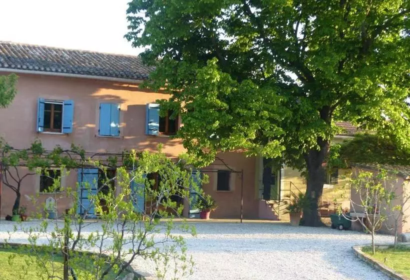 Bed and Breakfast Mas D'auseu