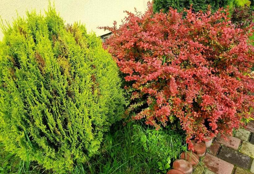 Hotell садиба святослав