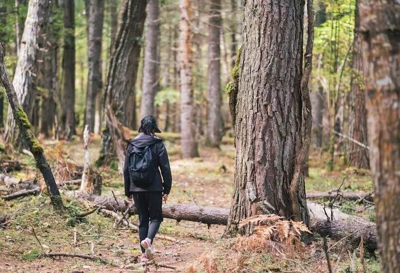 ホテル Songtsam Linka Bomi