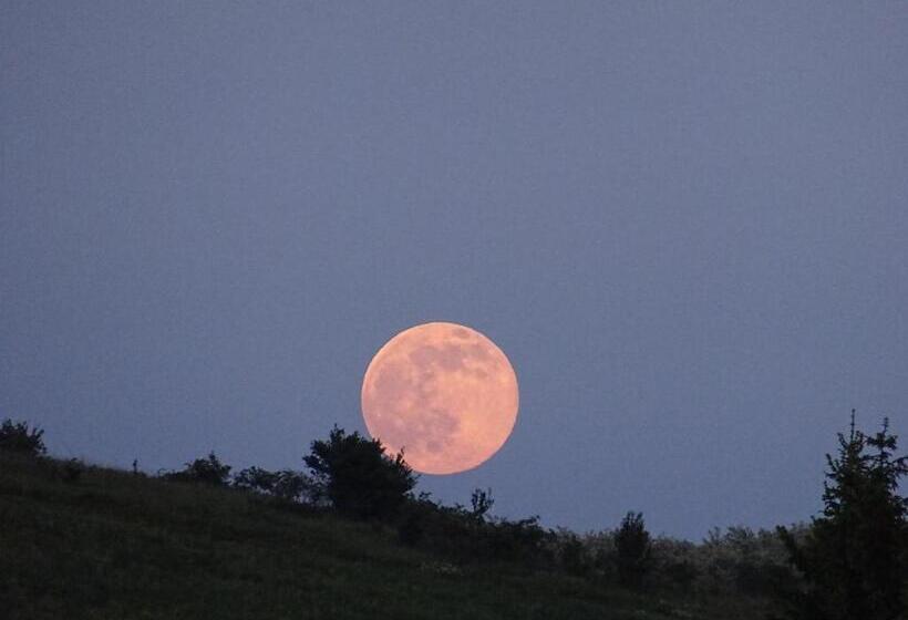 Kisrejtek Apartmanház