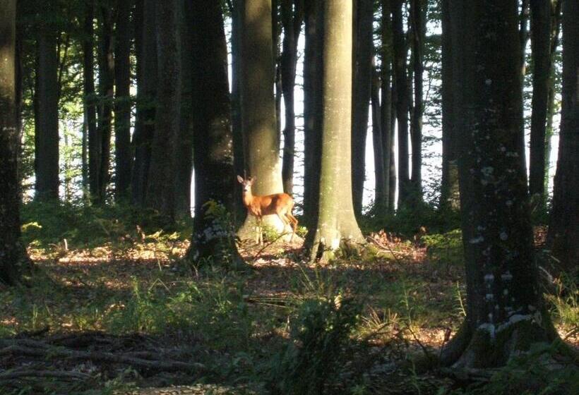 Kisrejtek Apartmanház