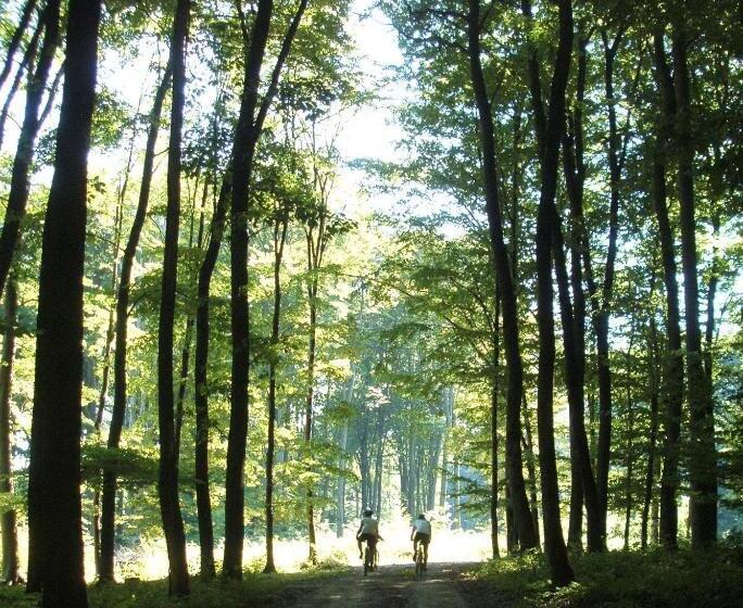 Kisrejtek Apartmanház