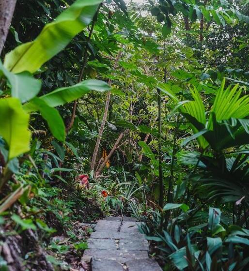 펜션 Ecocabaña Rosa María